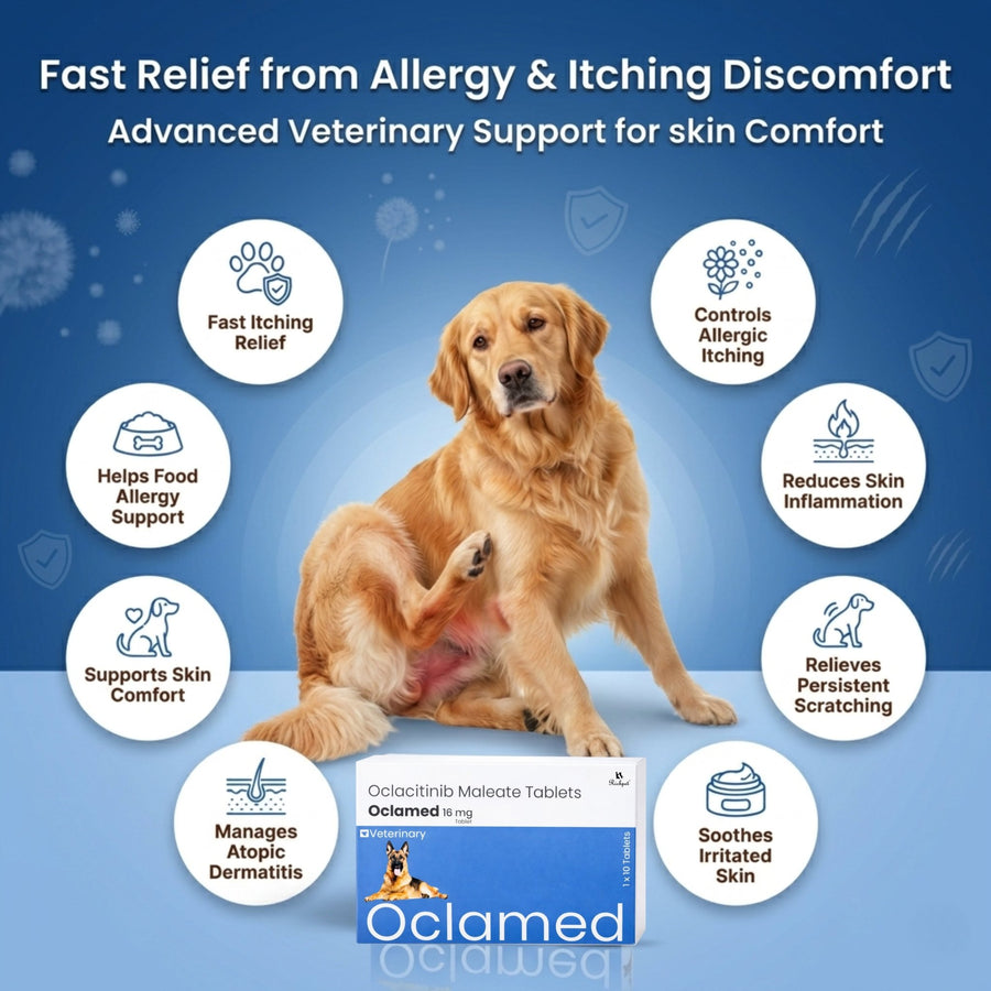 Richpet Oclamed Oclacitinib Tablets for Dogs 16 mg – Allergy & Itch Support - Richpet StoreRichpet Store