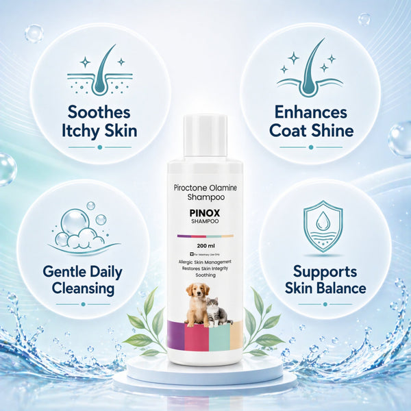 Richpet Pinox Piroctone Olamine 0.5% Shampoo 200ml | Allergic & Itchy Skin Management with Ceramides | Dogs & Cats - Richpet StoreRichpet Store