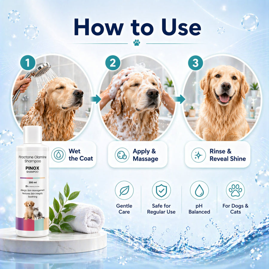 Richpet Pinox Piroctone Olamine 0.5% Shampoo 200ml | Allergic & Itchy Skin Management with Ceramides | Dogs & Cats - Richpet StoreRichpet Store