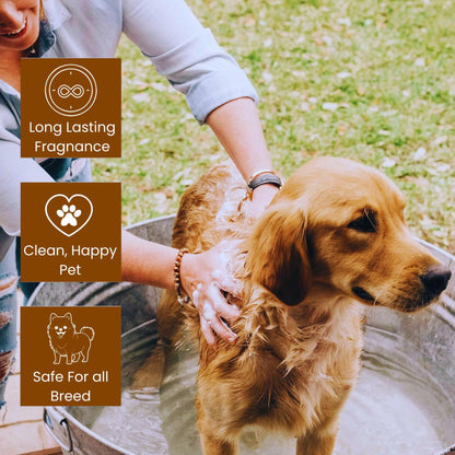 Richpet Short Coat Pet Shampoo (300ml + Bath Brush) — Gentle Cleansing for Smooth, Odour - Free Fur - Richpet StoreRichpet Store