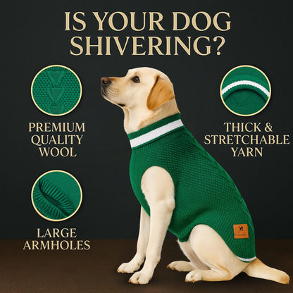 Richpet Soft & Stretchable Dog Sweater (Green) - Warm, Cozy Turtleneck Winter Knit Pullover - Richpet StoreRichpet Store