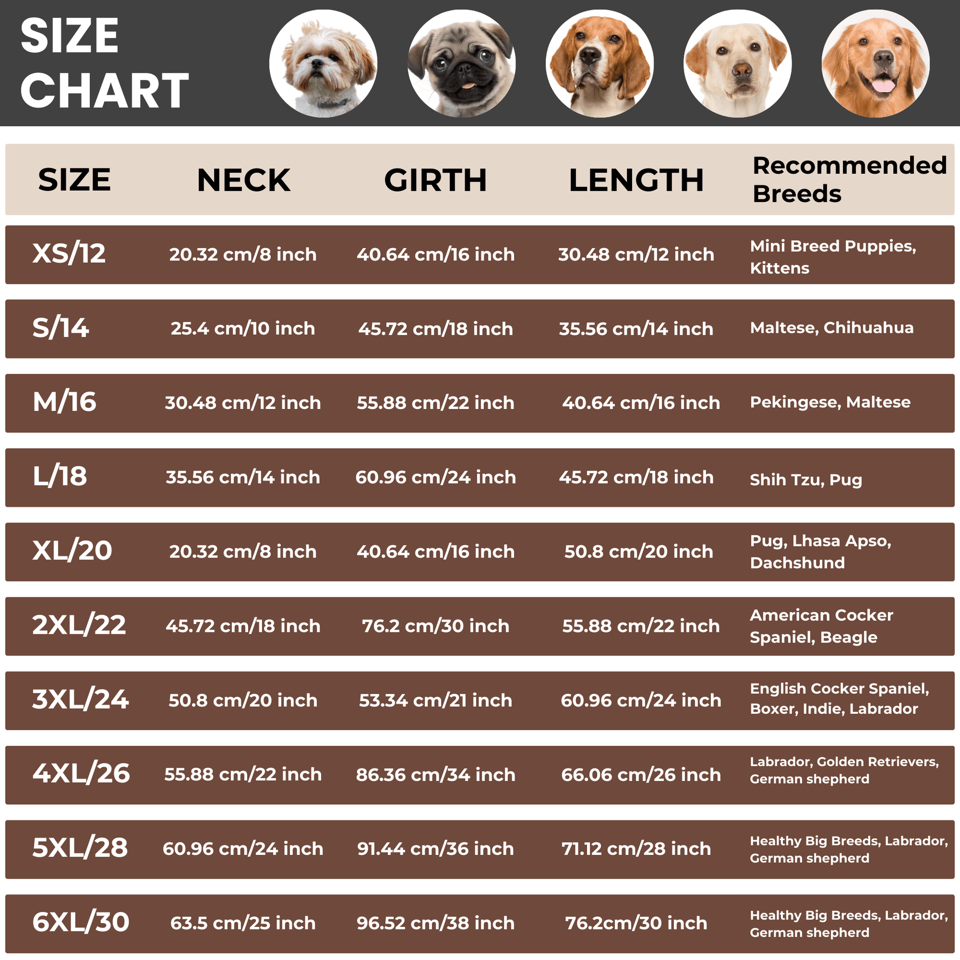 Richpet Soft & Stretchable Dog Sweater (Green) - Warm, Cozy Turtleneck Winter Knit Pullover - Richpet StoreRichpet Store