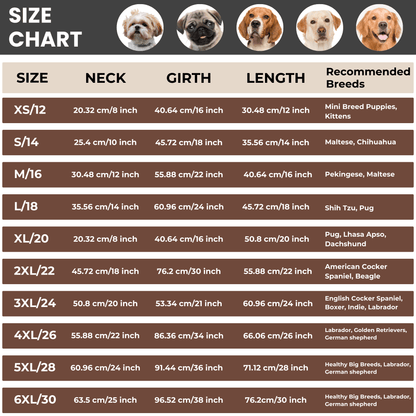 Richpet Soft & Stretchable Dog Sweater (Green) - Warm, Cozy Turtleneck Winter Knit Pullover - Richpet StoreRichpet Store