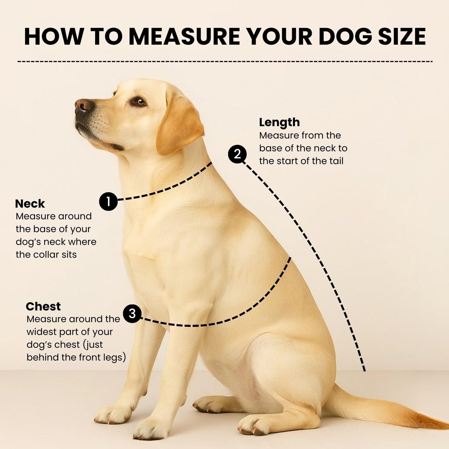 Richpet Soft & Stretchable Dog Sweater – Warm, Cozy Turtleneck Winter Knit Pullover - Richpet StoreRichpet Store