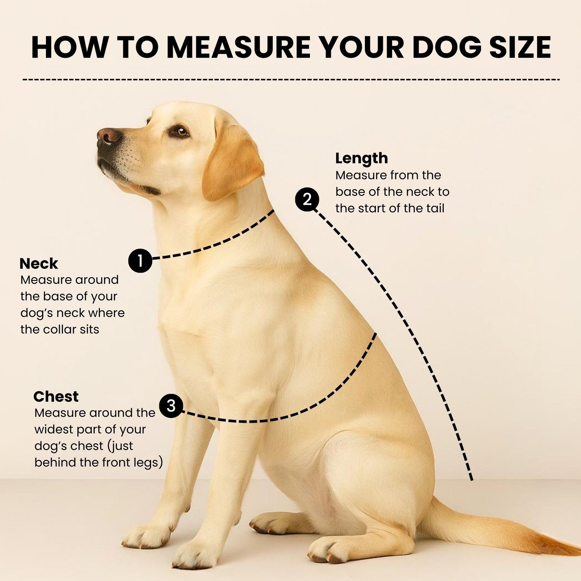 Richpet Soft & Stretchable Dog Sweater – Warm, Cozy Turtleneck Winter Knit Pullover - Richpet StoreRichpet Store