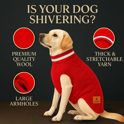 Richpet Soft & Stretchable Dog Sweater – Warm, Cozy Turtleneck Winter Knit Pullover - Richpet StoreRichpet Store