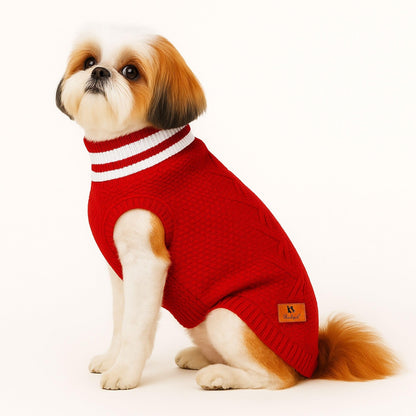 Richpet Soft & Stretchable Dog Sweater – Warm, Cozy Turtleneck Winter Knit Pullover - Richpet StoreRichpet Store