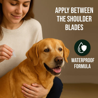Richpet Spot On for Large Dogs (40 to 60kg), Topical Solution with Protection from Fleas, Ticks & Lice - Richpet StoreRichpet Store