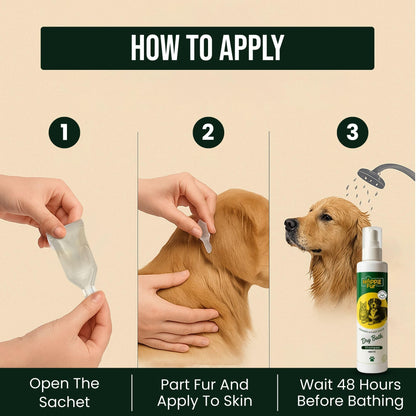 Richpet Spot On for Large Dogs (40 to 60kg), Topical Solution with Protection from Fleas, Ticks & Lice - Richpet StoreRichpet Store