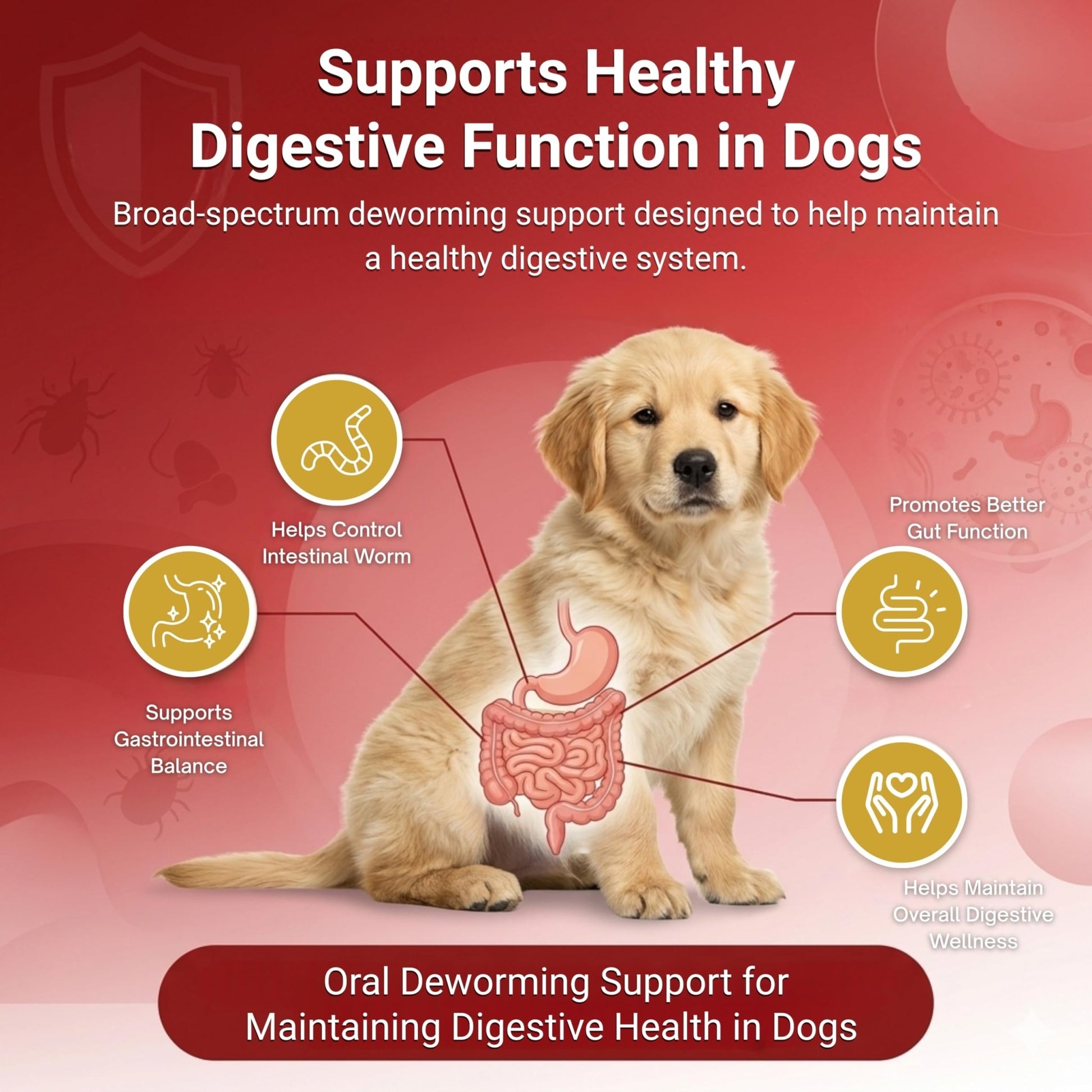 Ventobol Deworming Tablet for Dogs (0–35 kg) – Highly Effective Dog Deworming Tablet for Digestive Support & Gut Health, Easy to Administer, Routine Care, 1x10 Tablets - Richpet StoreRichpet Store