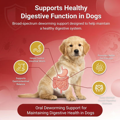 Ventobol Deworming Tablet for Dogs (0–35 kg) – Highly Effective Dog Deworming Tablet for Digestive Support & Gut Health, Easy to Administer, Routine Care, 1x10 Tablets - Richpet StoreRichpet Store
