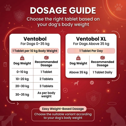 Ventobol Deworming Tablet for Dogs (0–35 kg) – Highly Effective Dog Deworming Tablet for Digestive Support & Gut Health, Easy to Administer, Routine Care, 1x10 Tablets - Richpet StoreRichpet Store