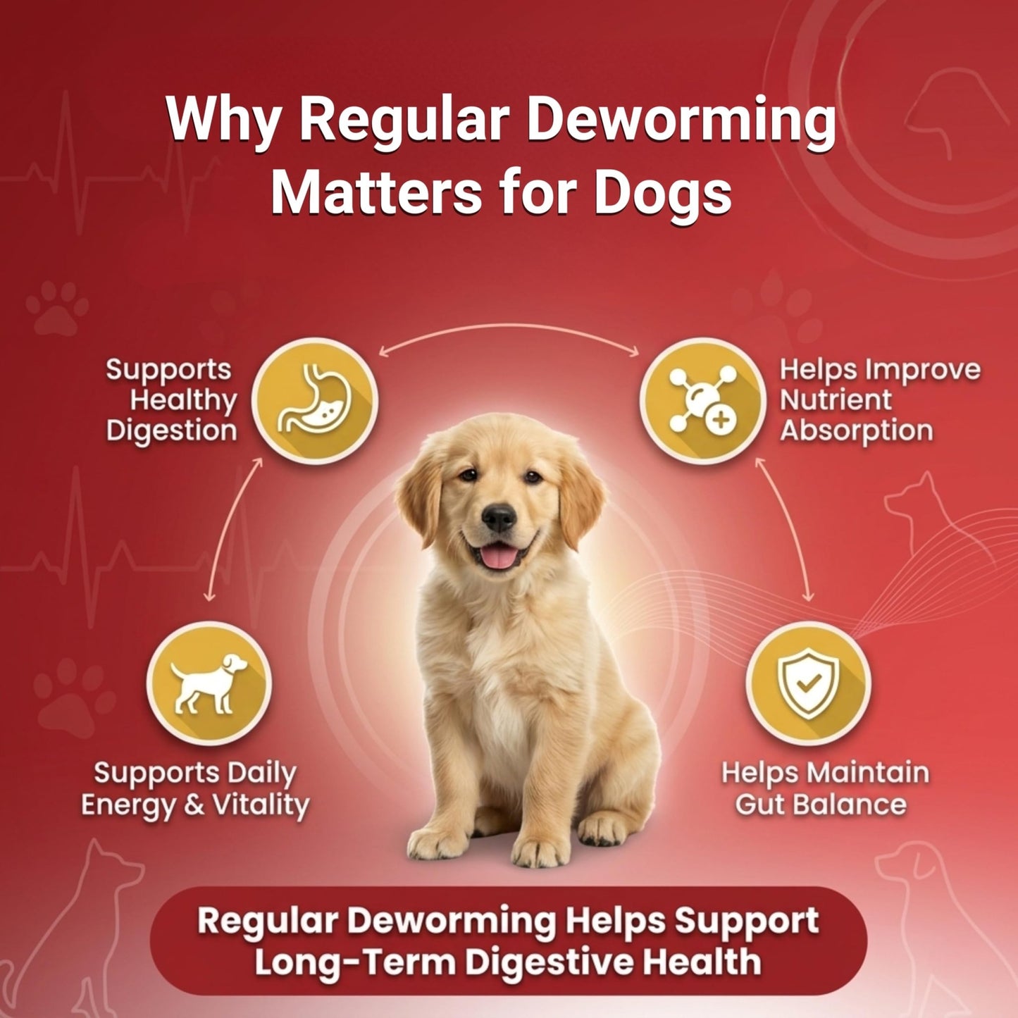 Ventobol Deworming Tablet for Dogs (0–35 kg) – Highly Effective Dog Deworming Tablet for Digestive Support & Gut Health, Easy to Administer, Routine Care, 1x10 Tablets - Richpet StoreRichpet Store