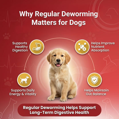 Ventobol Deworming Tablet for Dogs (0–35 kg) – Highly Effective Dog Deworming Tablet for Digestive Support & Gut Health, Easy to Administer, Routine Care, 1x10 Tablets - Richpet StoreRichpet Store